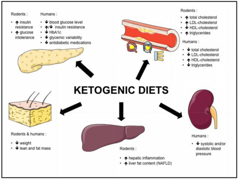 The Effect of a Keto Diet on Metabolic Syndrome Chart