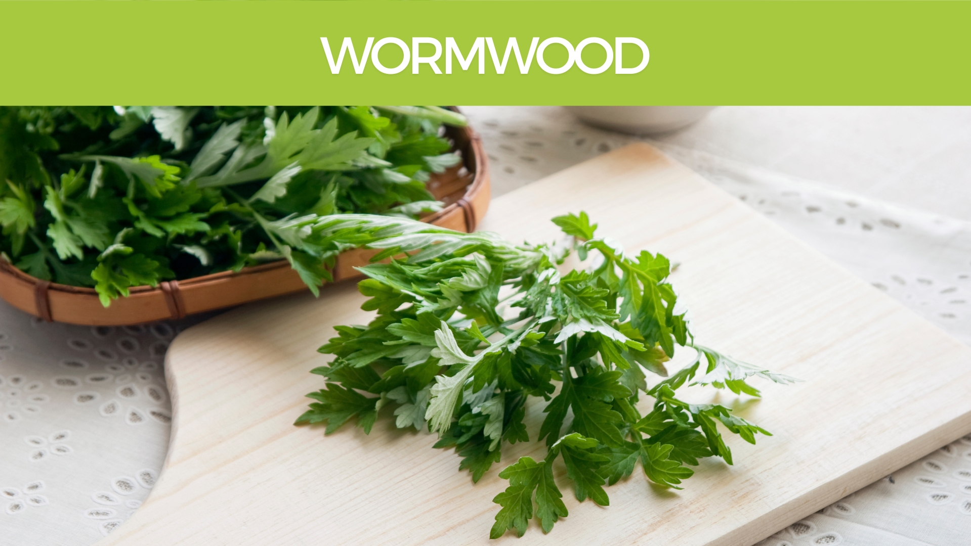 Worwmwood Artemisia Absinthium for parasites, laxative