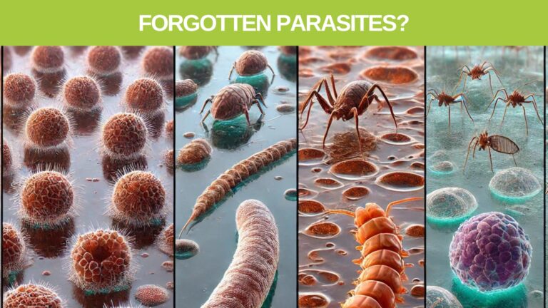 Forgotten mysterious parasites in humans