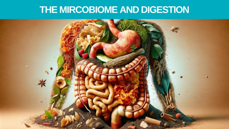 The Mircobiome and digestion