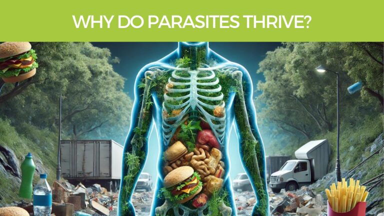 Why Do Parasites Thrive in the human body