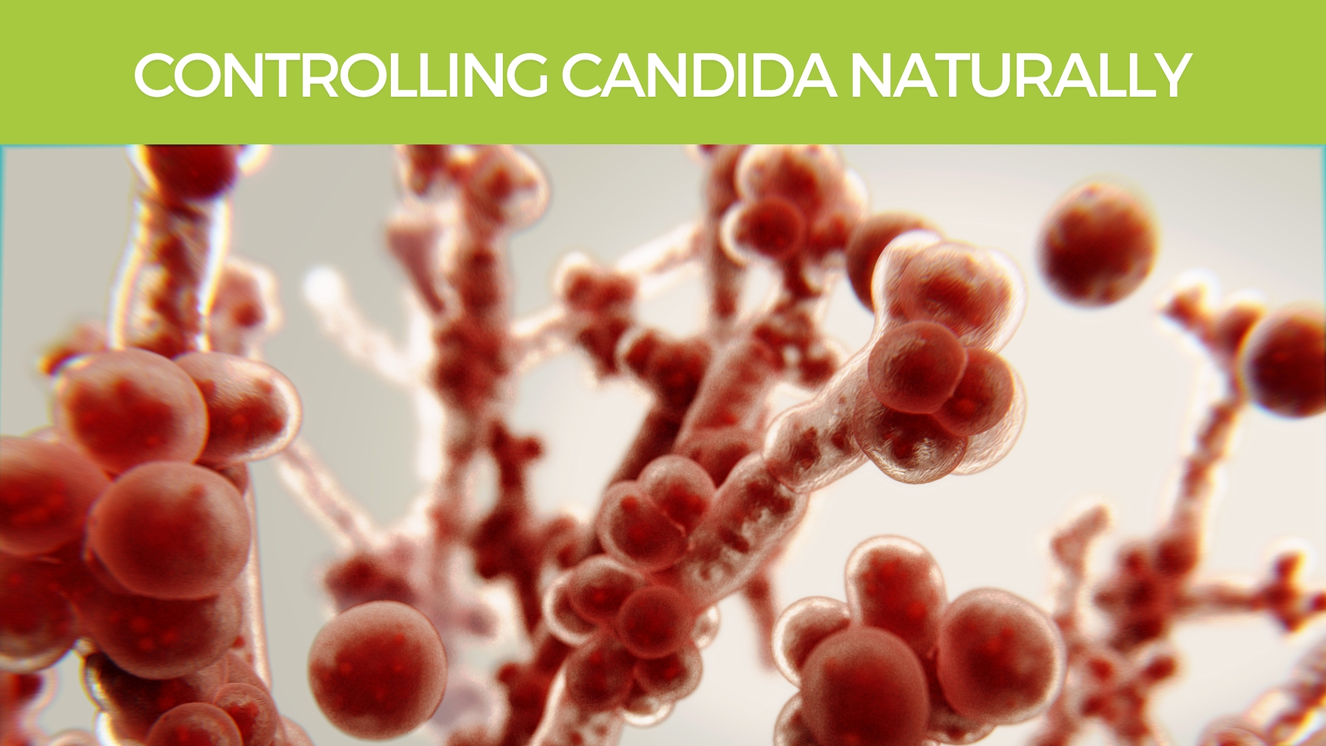 Controlling candida Naturally with diet and herbs