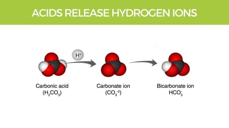 Acids Release Hydrogen ions