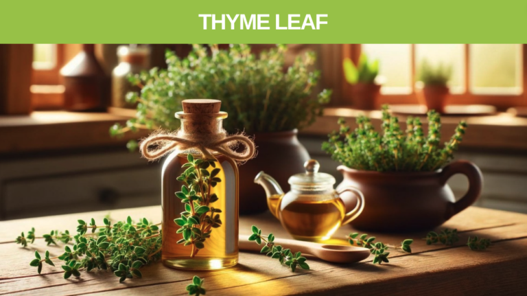 Thyme leaf tea to kill parasites