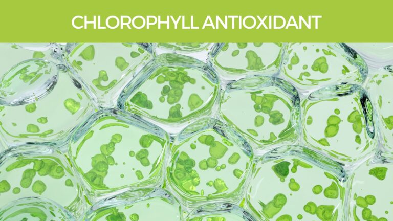 Chlorophyll Antioxidant Properties