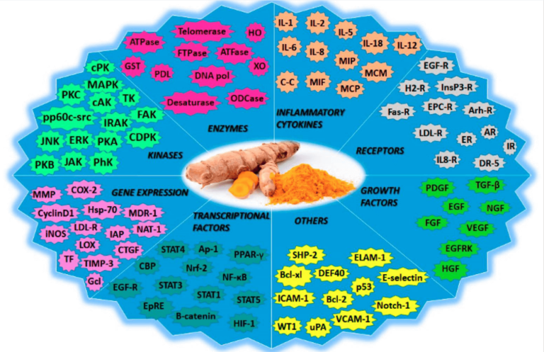 Different ways how Turmeric Targets Cancer