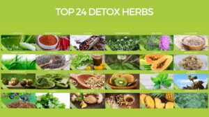 Top 24 Detox Herbs