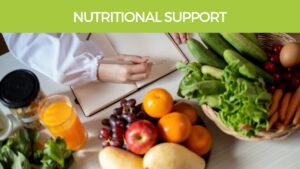 Plant-based Nutritional support herbal supplements