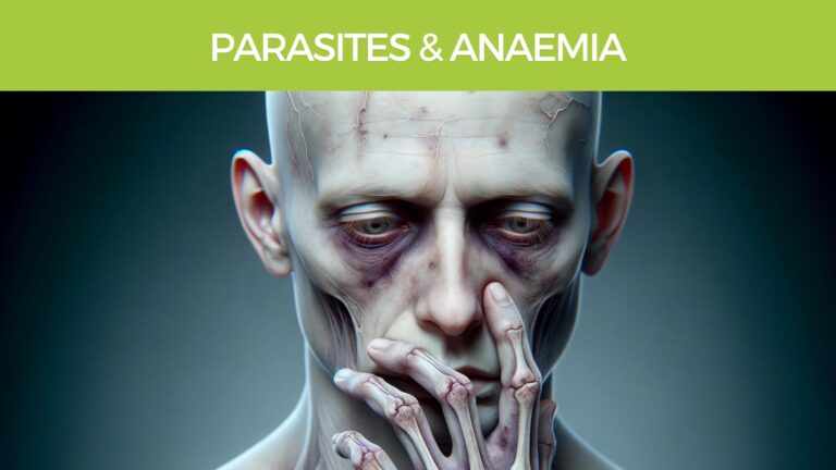 Parasites and Anaemia